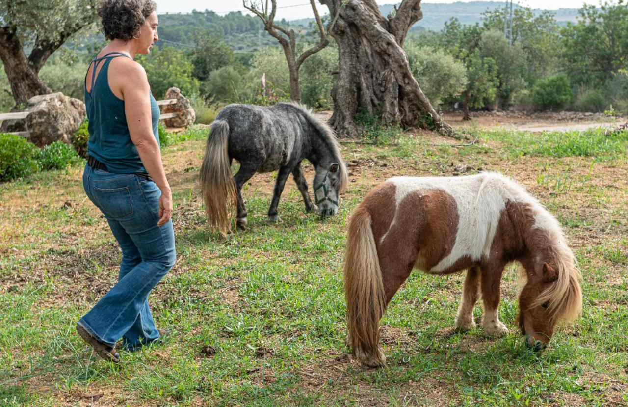 San Jorge  Casa Del Arbol - Tierra De Arteヴィラ エクステリア 写真